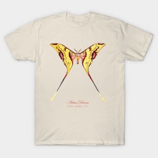 Moth - Malaysian Moon Moth, Actias Maenas Diana T-Shirt